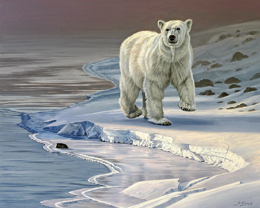 900x720 Polar Bear On Icy Shore Painting By Paul Krapf - Polar Bear Painting