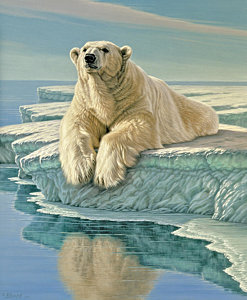247x300 Polar Bear Paintings Fine Art America - Polar Bear Painting