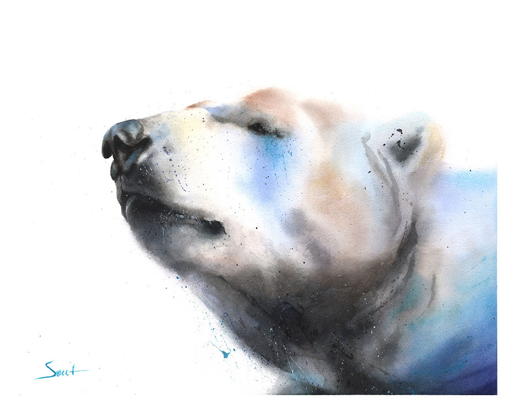 1000x800 Polar Bear Watercolor Print Watercolor Animal Paintings - Polar Bear Painting