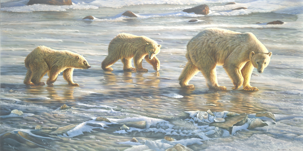 1000x498 Eric Wilson Wildlife Artist Polar Bear Paintings - Polar Bear Painting
