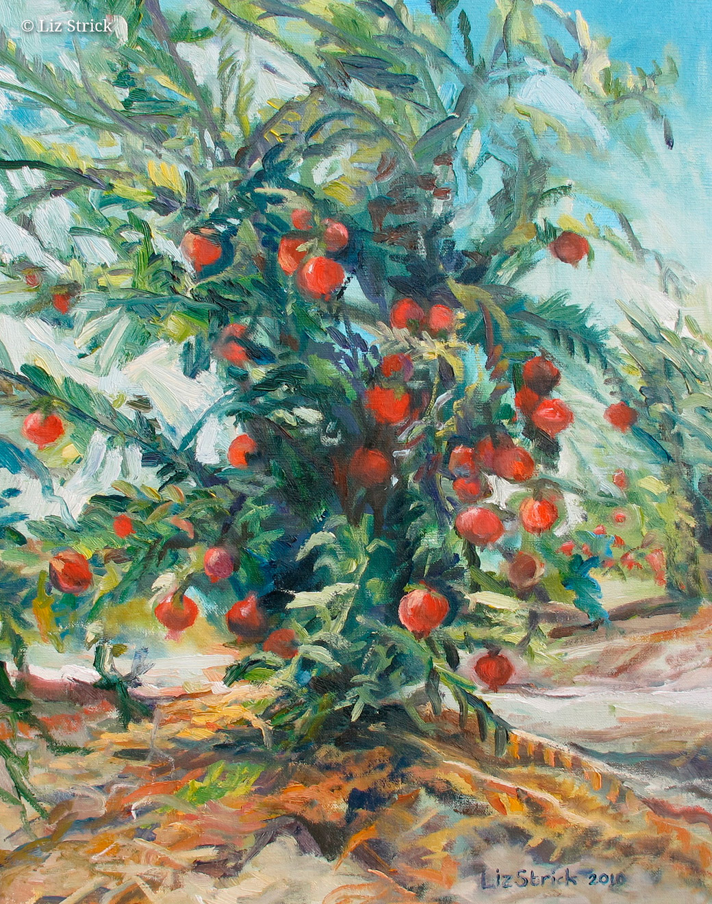 1040x1320 Pomegranate Tree Liz Strick - Pomegranate Tree Painting