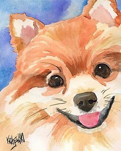 240x300 Pomeranian Art Print Signed By Artist Ron Krajewski Painting 8x10 - Pomeranian Painting