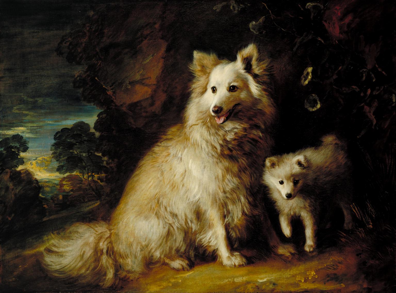 1536x1136 Pomeranian Bitch And Puppy', Thomas Gainsborough, C.1777 Tate - Pomeranian Painting