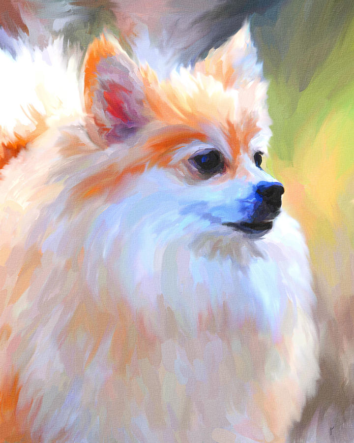 720x900 Pomeranian Portrait Painting By Jai Johnson - Pomeranian Painting