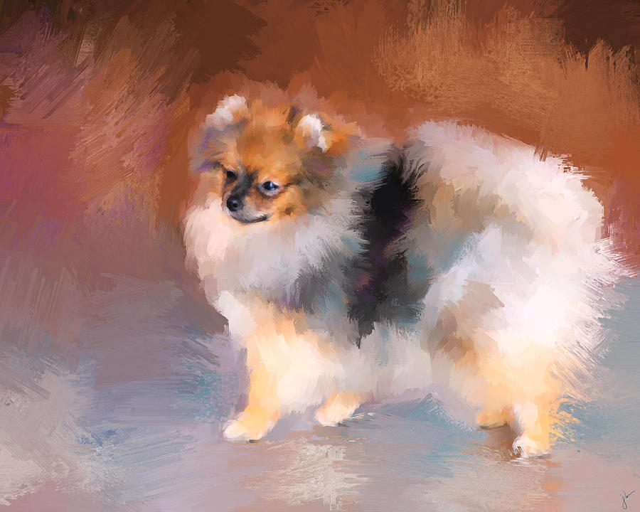 900x720 Tiny Pomeranian Painting By Jai Johnson - Pomeranian Painting