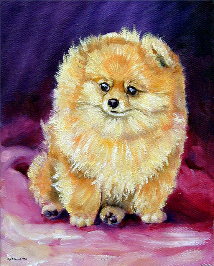 726x900 Little Dude - Pomeranian Painting
