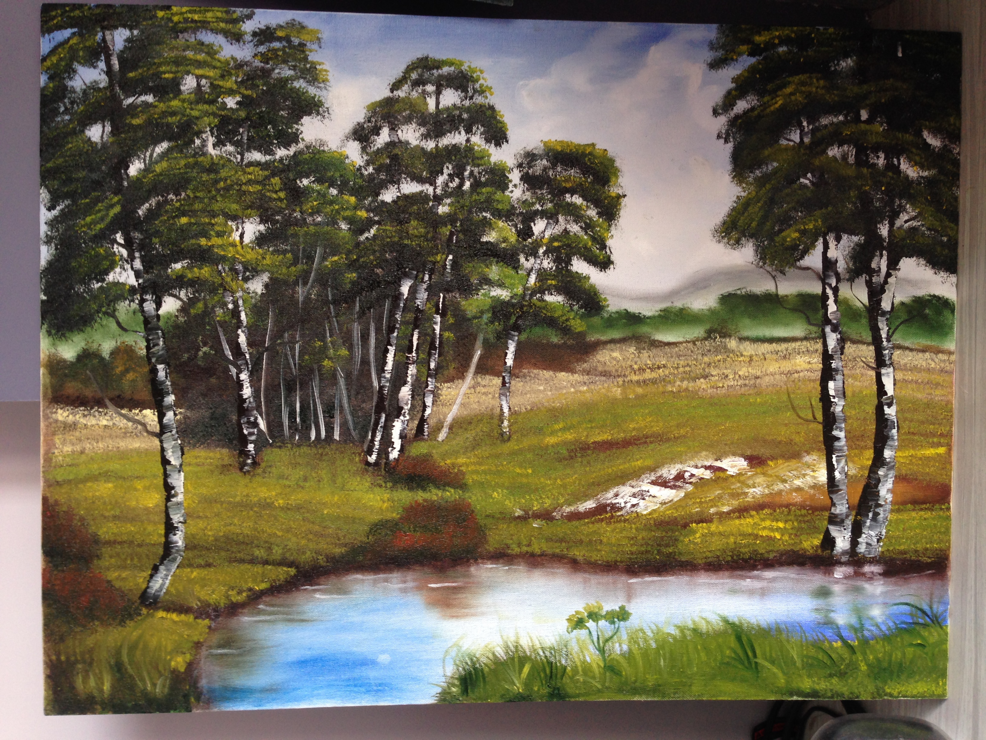 3264x2448 Mousmi Jain Artwork Trees Around A Pond Original Painting Oil - Pond Painting