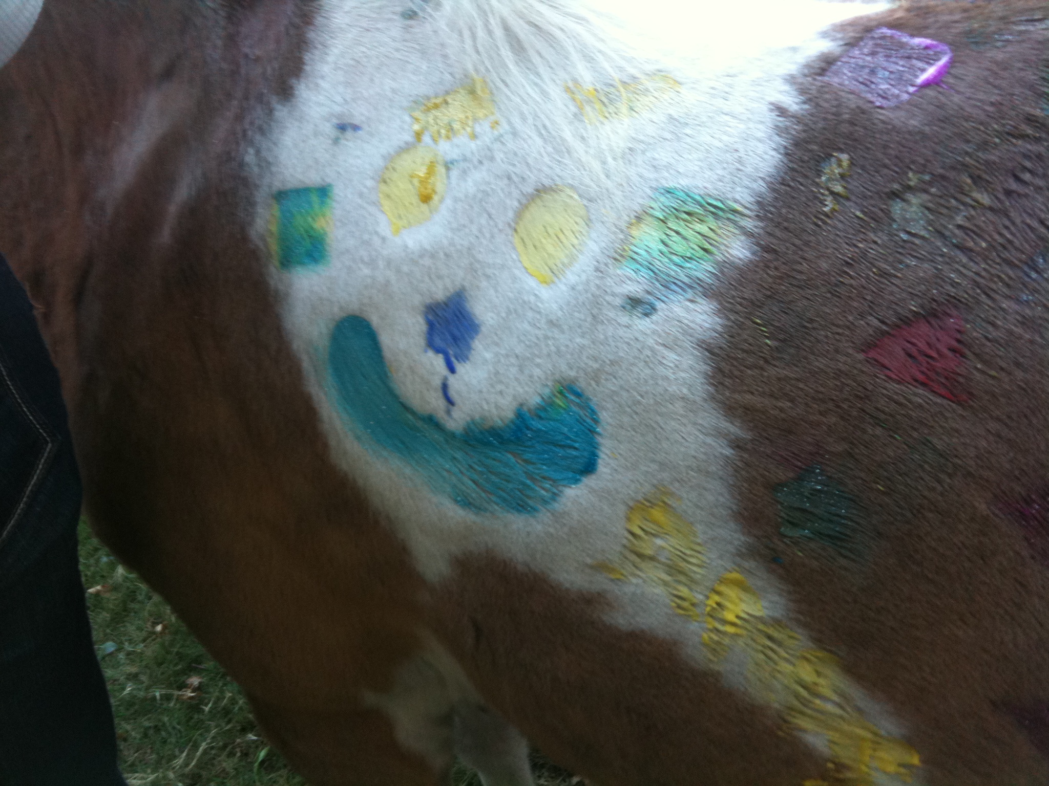 2048x1536 Picasso Pony Painting - Pony Painting