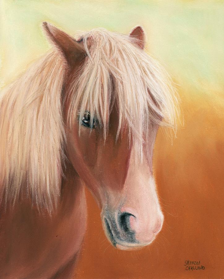 724x900 Pony Paintings Little Shetland Pony Painting Sharon Challand - Pony Painting