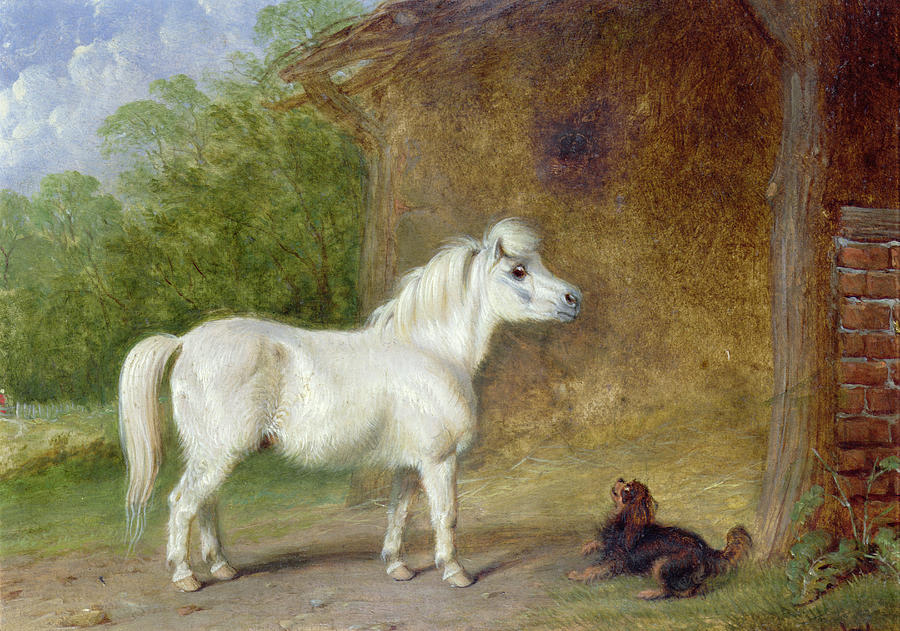 900x631 A Shetland Pony And A King Charles Spaniel Painting By Martin - Pony Painting