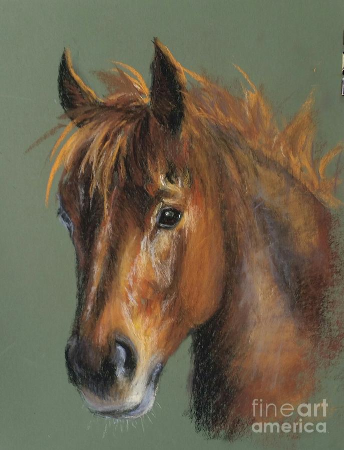 687x900 The Chestnut Pony Painting By Mary Chant Schaefer - Pony Painting