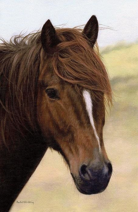 454x700 Welsh Pony Painting Art Print By Rachel Stribbling - Pony Painting
