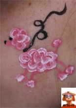 155x218 Domestic Animals - Poodle Face Painting