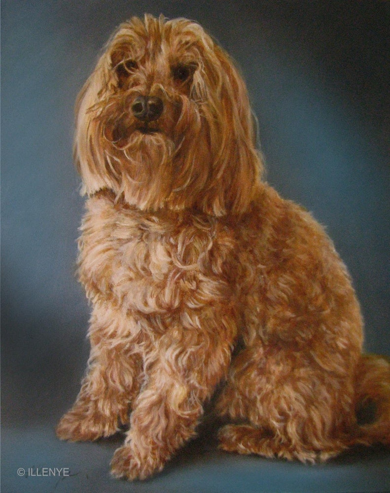 791x1000 Custom Dog Portrait Oil Painting Reilly Poodle Pet Portraits - Poodle Oil Painting