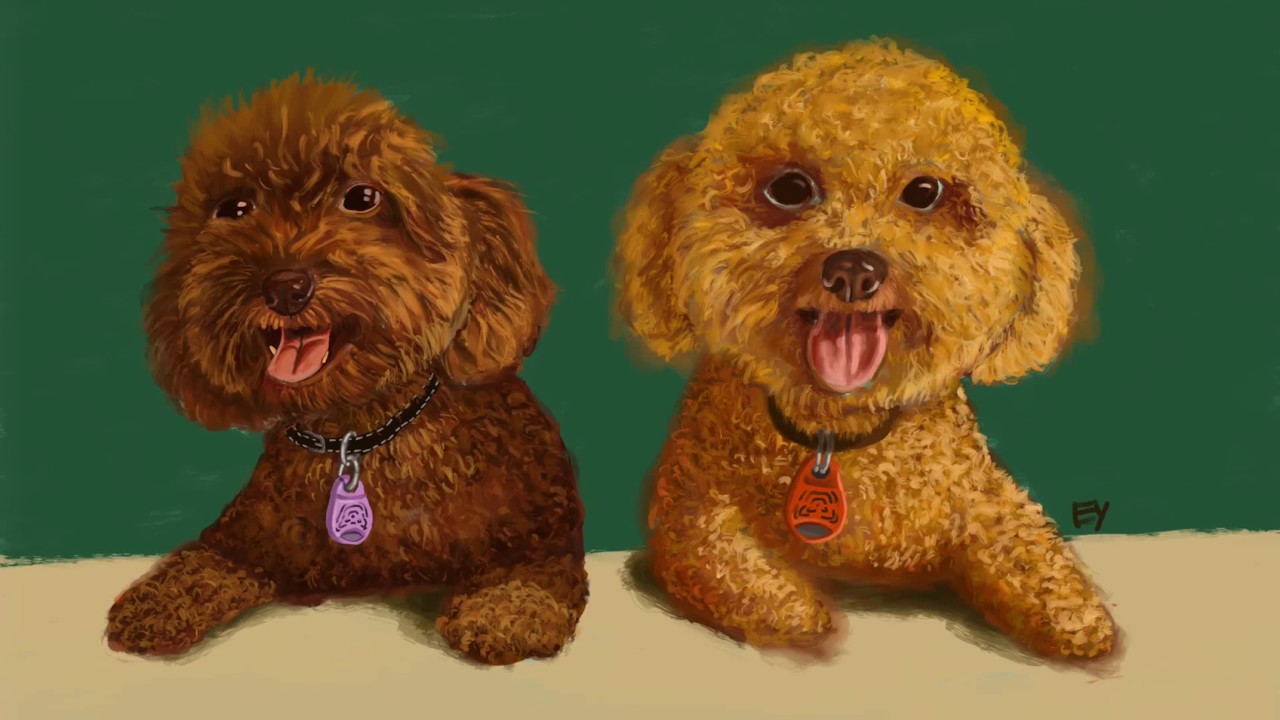 1280x720 Digital Oil Painting Timelapse In Procreate On Ipad Pro 12.9 - Poodle Oil Painting