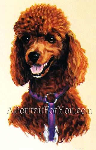 321x504 Poodle Portraits In Oil A Portrait For You - Poodle Oil Painting