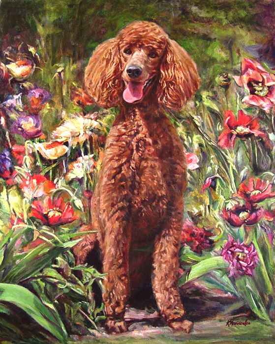 559x700 Poodle Portrait In Oils - Poodle Oil Painting