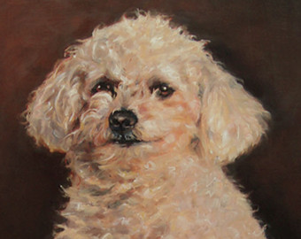 340x270 Rasta Kitty Custom Pet Portrait Oil Painting By Puci - Poodle Oil Painting