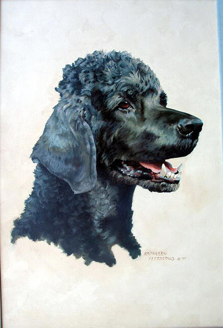 434x640 Superb Kathleen Fitzgerald Oil Painting Of Black Poodle For Sale - Poodle Oil Painting