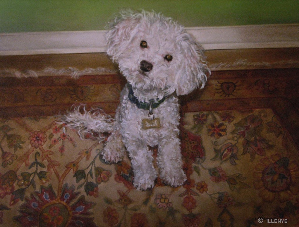 999x757 Sammi White Poodle Puppy Original Oil Painting Custom Pet Dog - Poodle Oil Painting