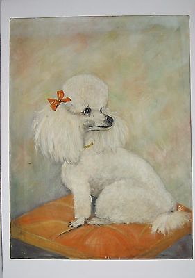 281x400 Vintage Poodle On Orange Pillow Oil Painting On Canvas Signed - Poodle Oil Painting