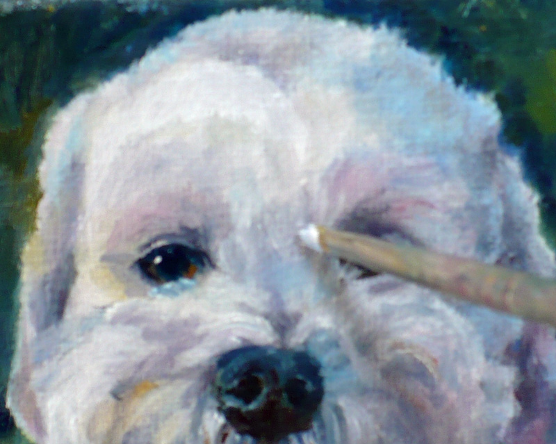 800x639 Zeh Original Art Blog Watercolor And Oil Paintings Dog Pet - Poodle Oil Painting