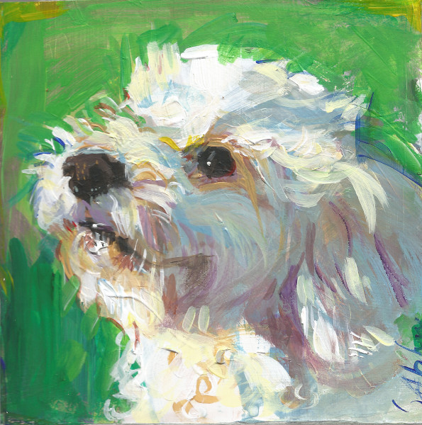 595x600 A Dog Painting A Day The Toy Poodle Shannon Abbey - Poodle Painting