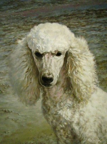 369x495 Leo - Poodle Painting