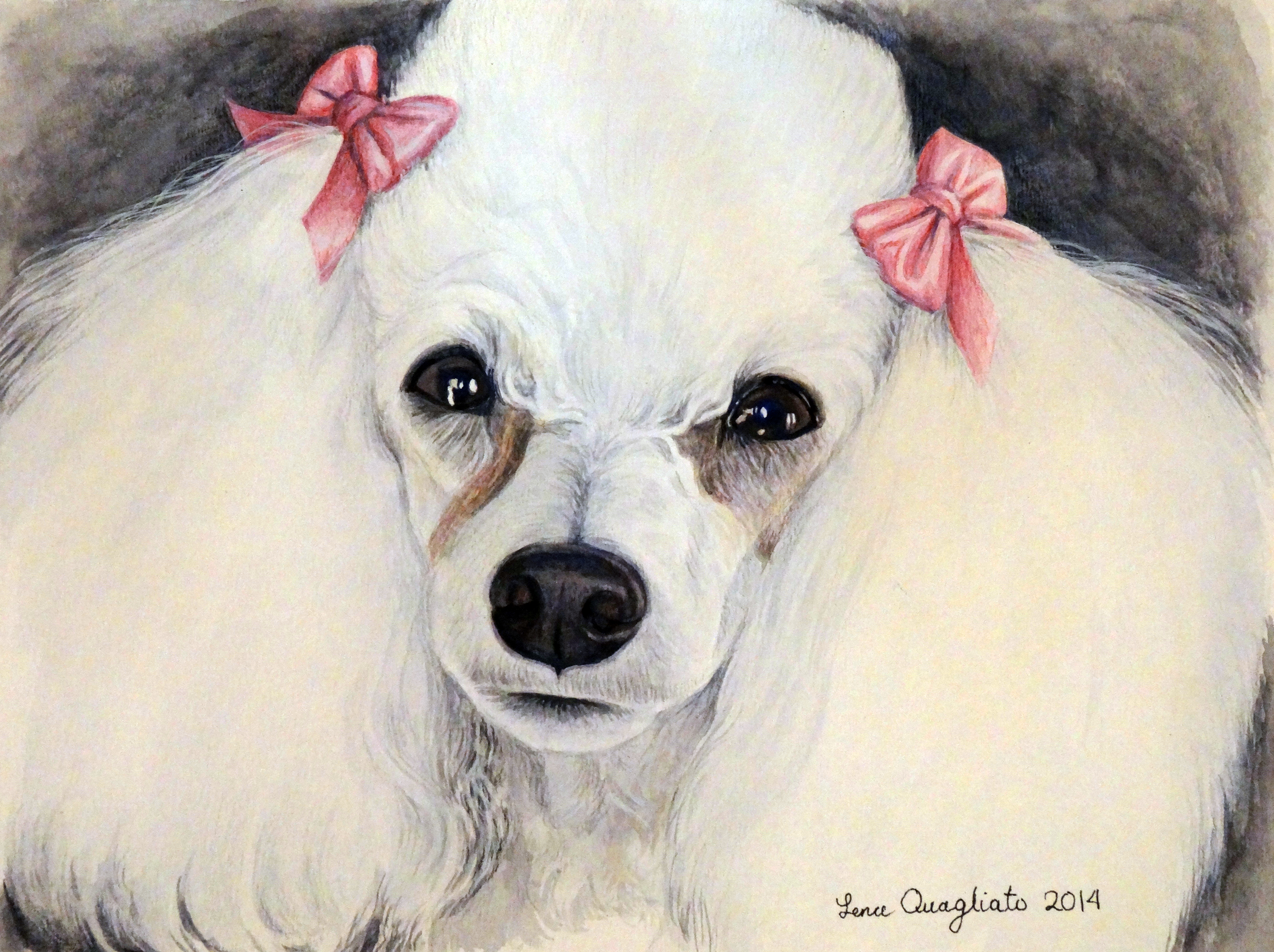 4320x3228 Poodle Portrait Watercolor Art Painting Fine Art And Portraits - Poodle Painting