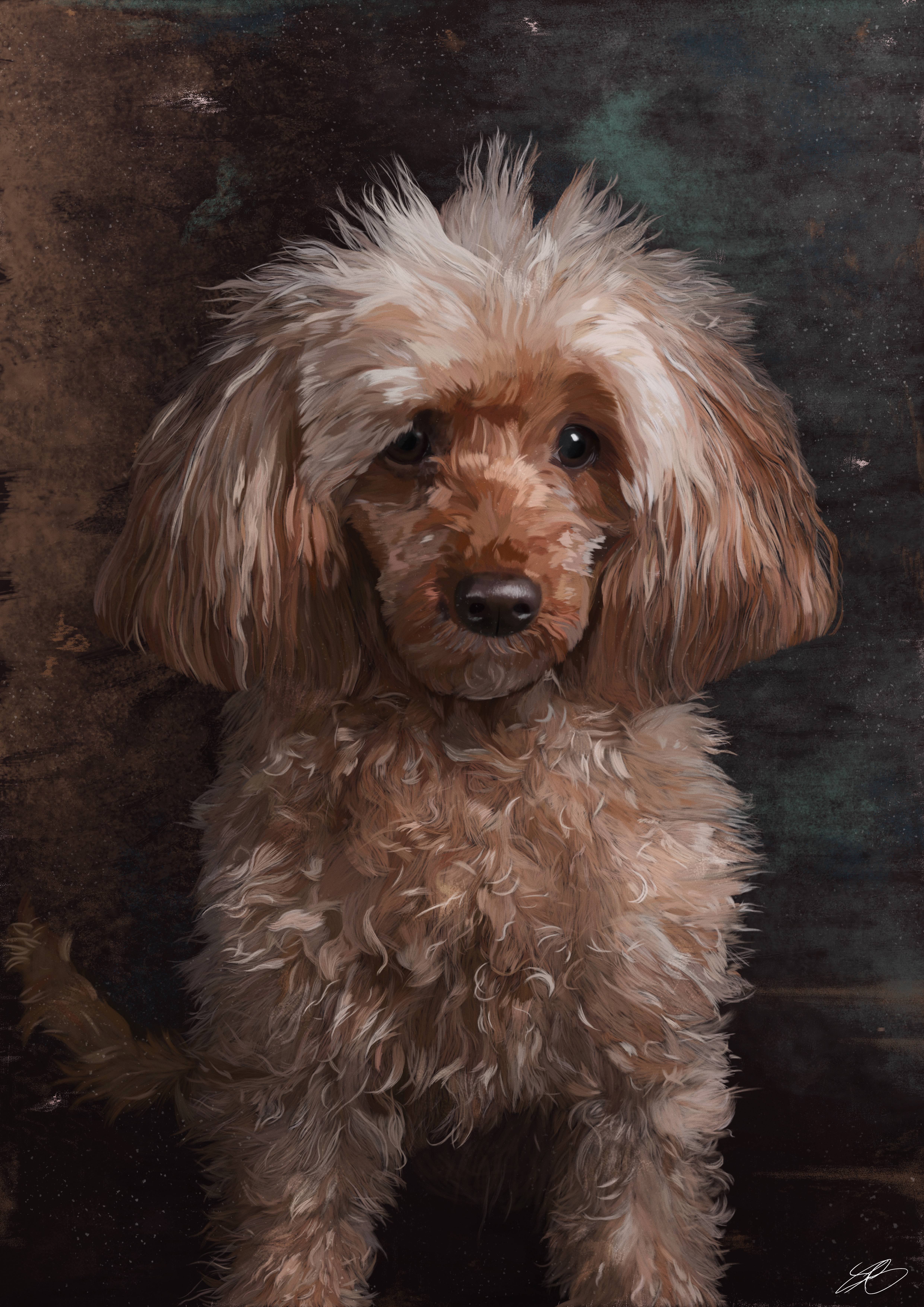 4961x7015 Digital Painting Of My 17 Year Old Toy Poodle - Poodle Painting
