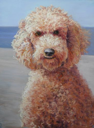 369x500 Have You Painted A Poodle - Poodle Painting