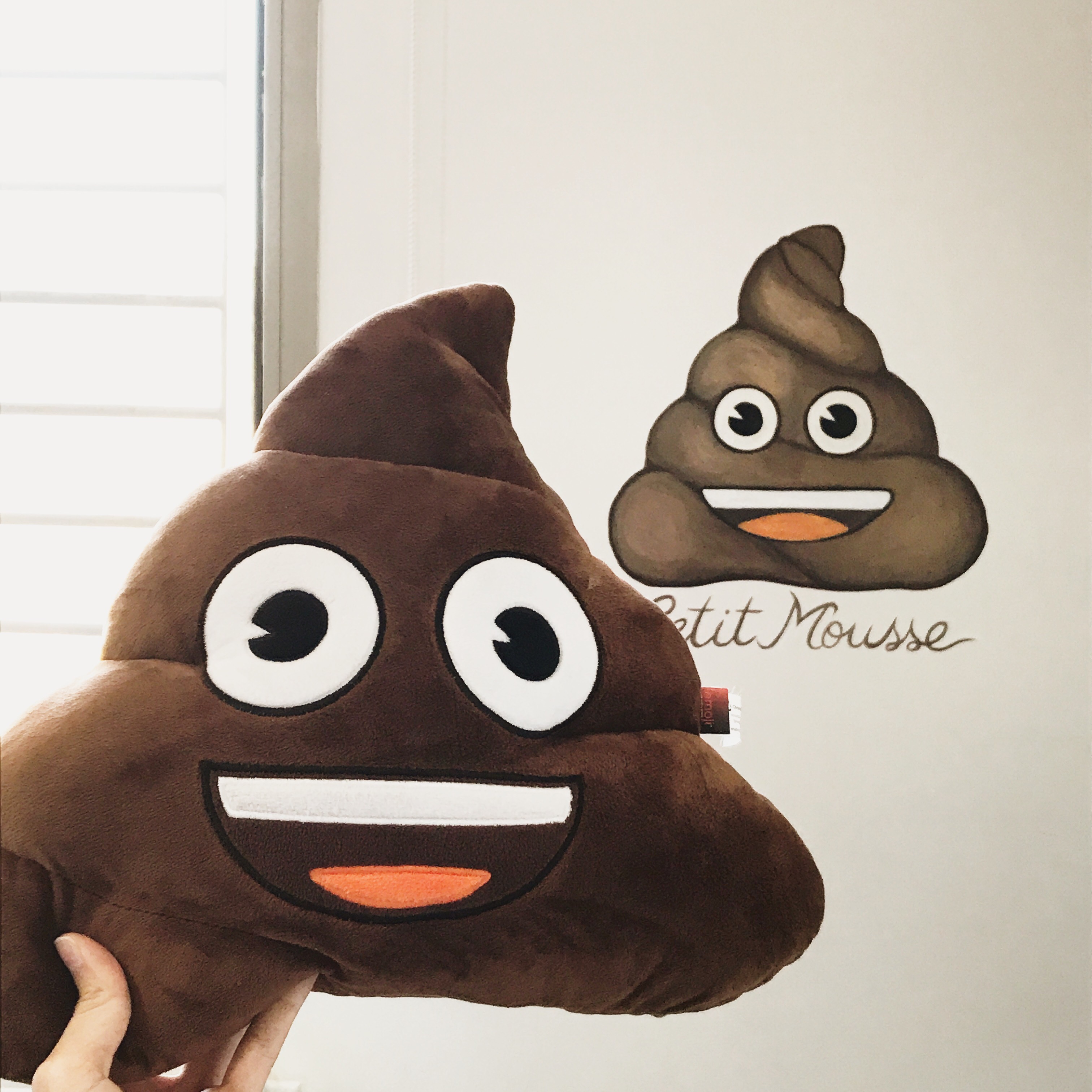 3024x3024 Poop Emoji Rosane Chawi - Poop Emoji Painting