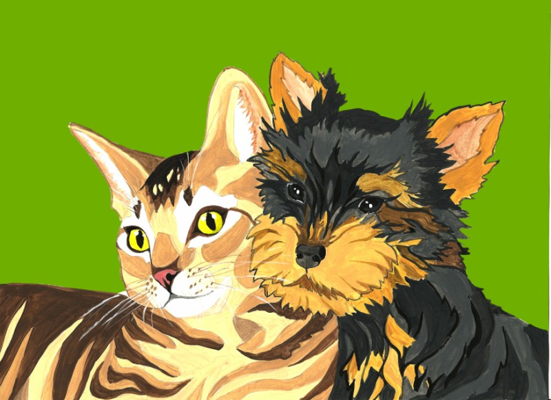 800x582 Ulianka Artist - Pop Art Cat Painting