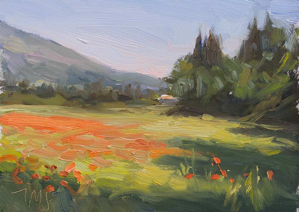 1000x711 Daily Painting Titled Morning Poppy Field - Poppy Field Painting
