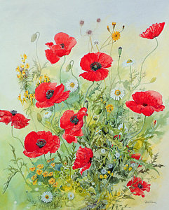 241x300 Red Poppy Paintings Fine Art America - Poppy Flower Painting
