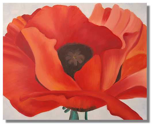 535x443 Big Red Poppy Flower Painting On Canvas - Poppy Flower Painting