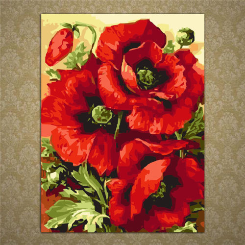 500x500 Poppy Flower Oil Painting Diy Paint By Numbers Acrylic Drawing - Poppy Oil Painting