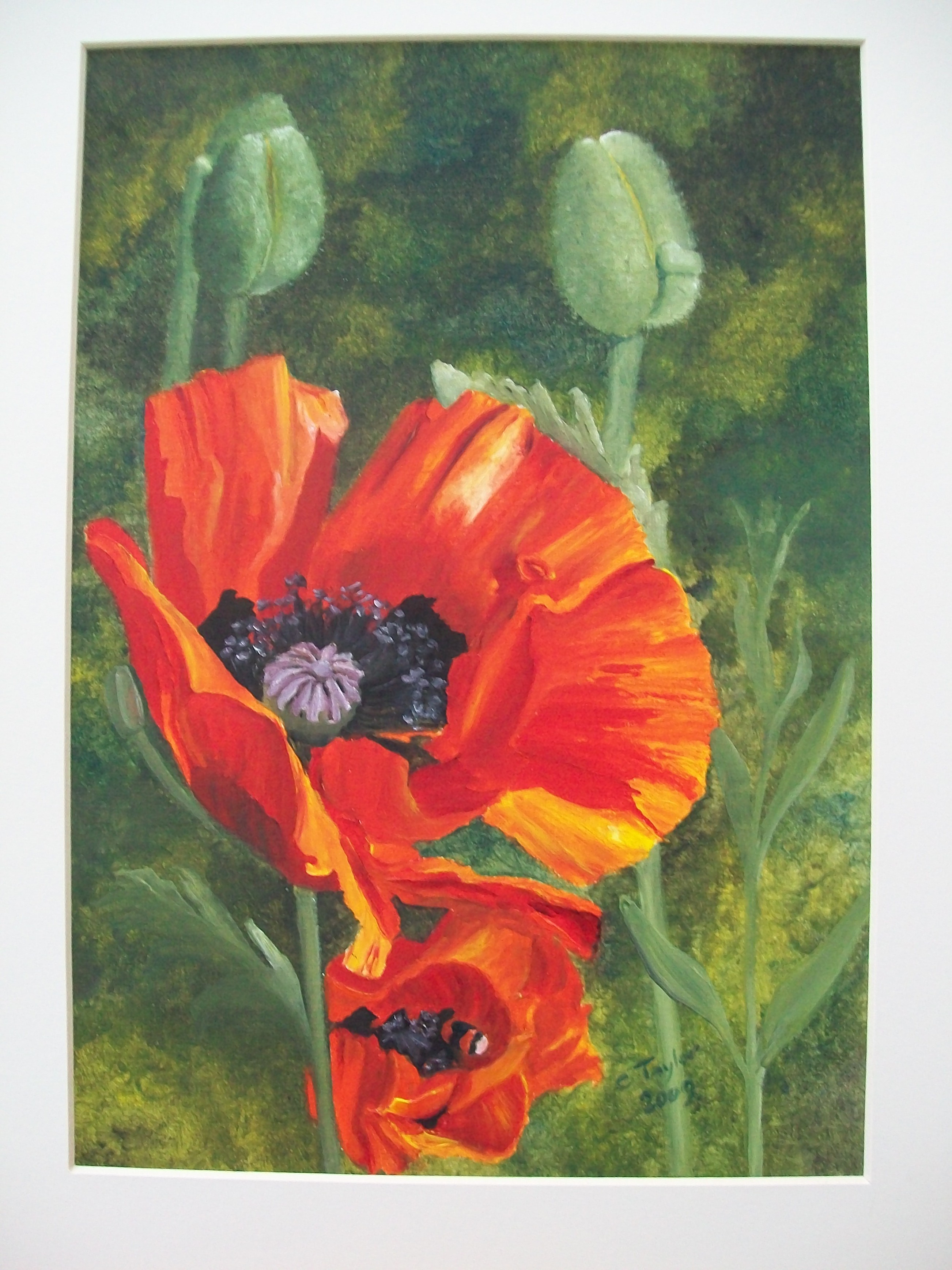2604x3472 Poppies - Poppy Oil Painting