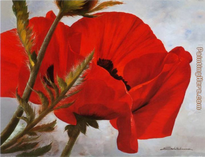 720x554 Heinz Scholnhammer The Red Poppy Painting Anysize 50% Off - Poppy Painting