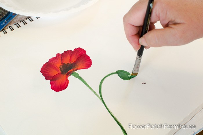 700x464 How To Paint A Pretty Poppy - Poppy Painting