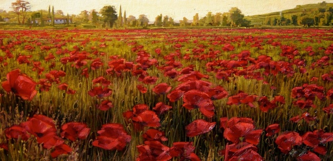 683x332 Poppy Painting 3 - Poppy Painting Images