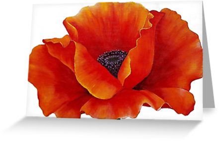 441x283 Red Poppy Painting Greeting Cards By Angela Anderson Redbubble - Poppy Painting Images