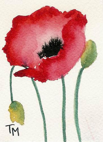 364x500 Aceo Poppy Series - Poppy Painting Watercolor