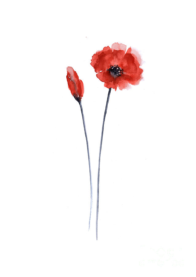 638x900 Red Poppy Watercolor Painting Fine Art Print Painting By Joanna - Poppy Painting Watercolor