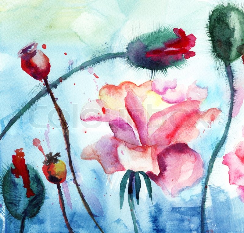 800x763 Roses With Poppy Flowers, Watercolor Painting Stock Photo - Poppy Painting Watercolor