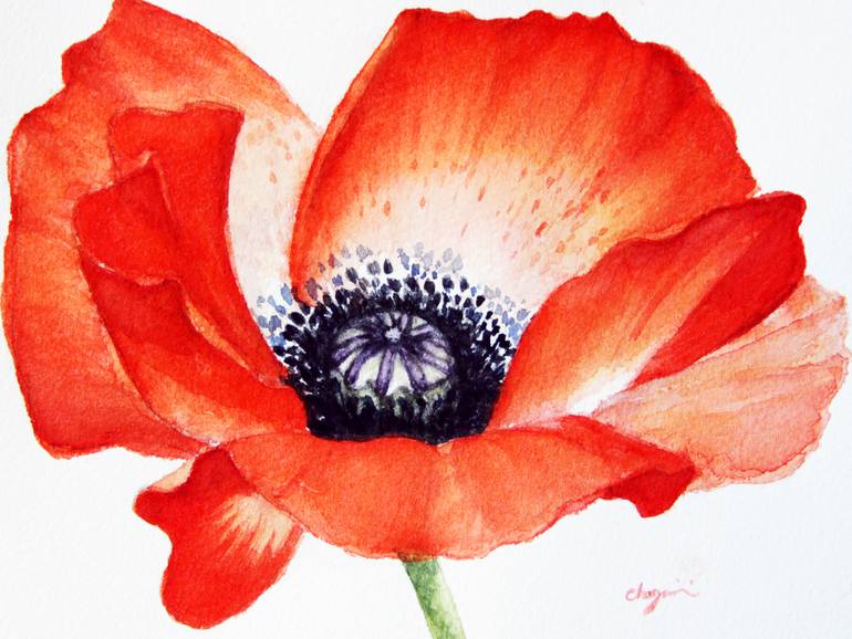 770x578 Saatchi Art Poppy Seed Flower Watercolor Painting Painting By - Poppy Painting Watercolor
