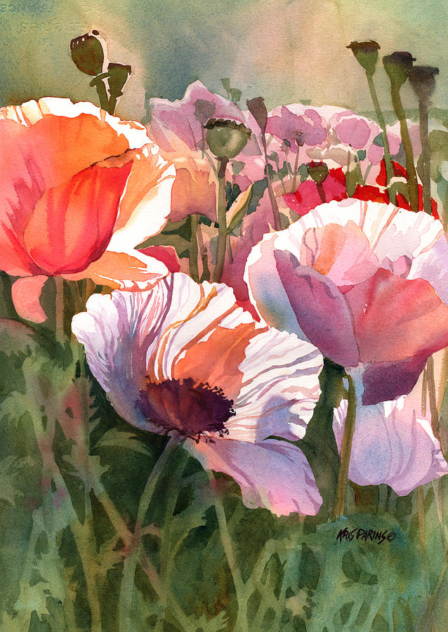 638x900 Watercolor Poppy Paintings Fine Art America - Poppy Painting Watercolor