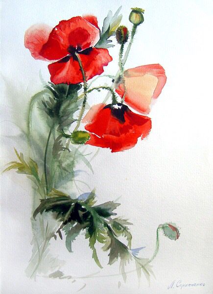 435x600 El Arte Watercolor, Botanical - Poppy Painting Watercolor