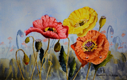 500x318 How To Paint Poppies Flowers In Watercolour - Poppy Painting Watercolor