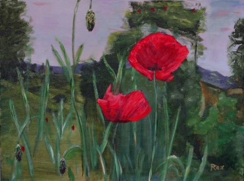 500x370 Florals - Poppy Profusion Canvas Painting